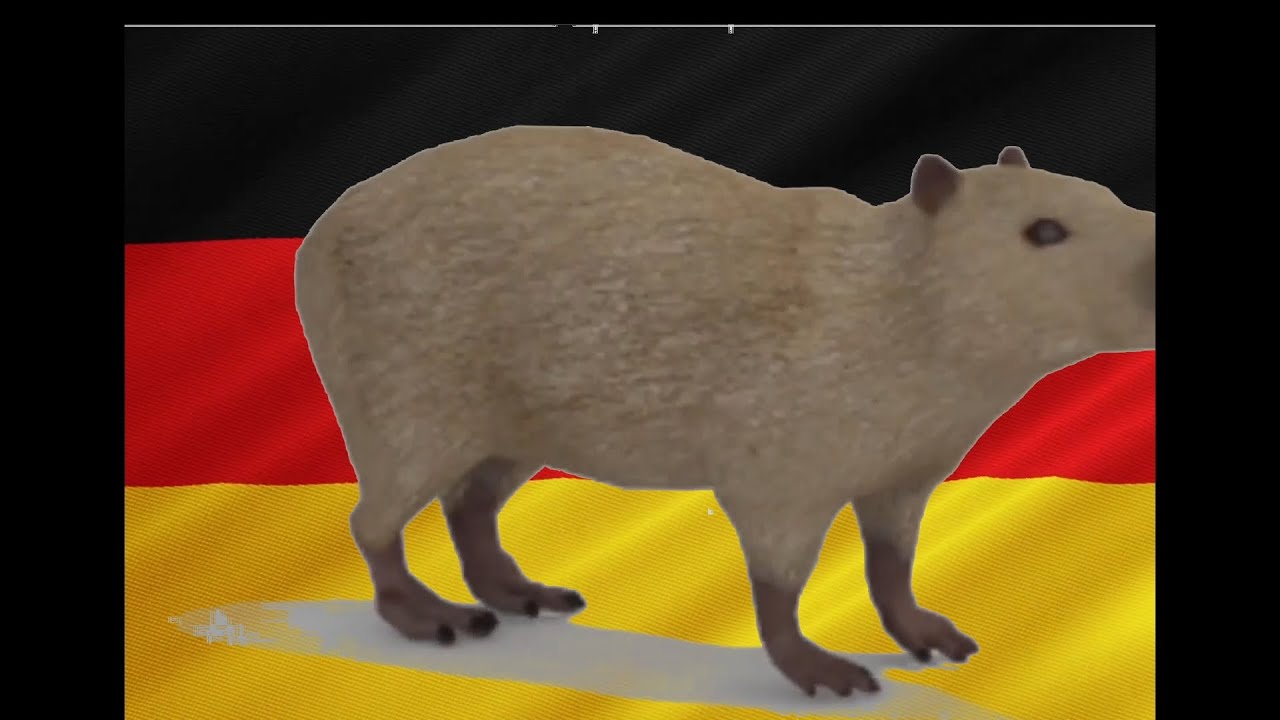 FREE BIRD CAPYBARA GERMAN