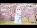【笛巻物語】幽雅に咲かせ、笛巻の桜