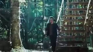 Flim action cina operasi mekong