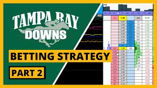 American Betting Strategy for Tampa Bay Downs...