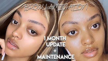 BROW LAMINATION TOUCH UP & 1 MONTH UPDATE | DO