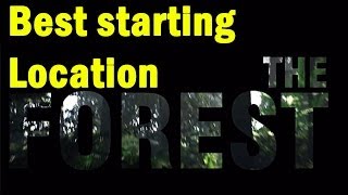 The Forest Survival Guide - Starting Location