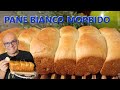PANE BIANCO MORBIDO con MODERAZIONE  ricetta pane facile del supermercato pane bianco morbido