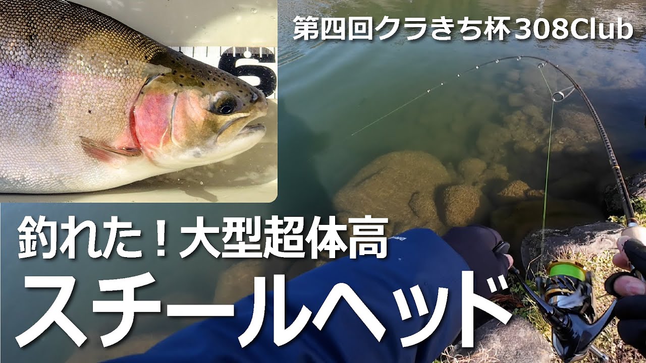 「第4回クラきち杯308Club」にてサクラマスと戯れ大型超体高のスチールヘッドが釣れた！【釣りオフ会】#308Club #管釣り #スチールヘッド  #fishing     2025年12月13日