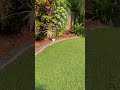 🌱 Experience the magic touch of our lawn care experts.