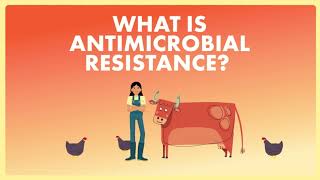 What is antimicrobial resistance (AMR)?