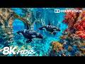 Fascinating Ocean Abyss Creatures in 8K HDR | Dolby Vision™