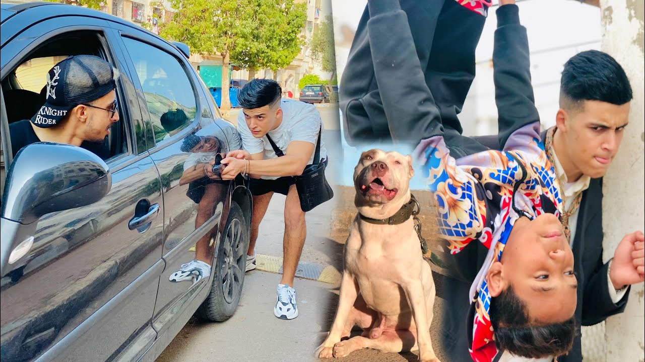 أصغر جوج شفارا فكازا منوضين روينة مع لبوليس 