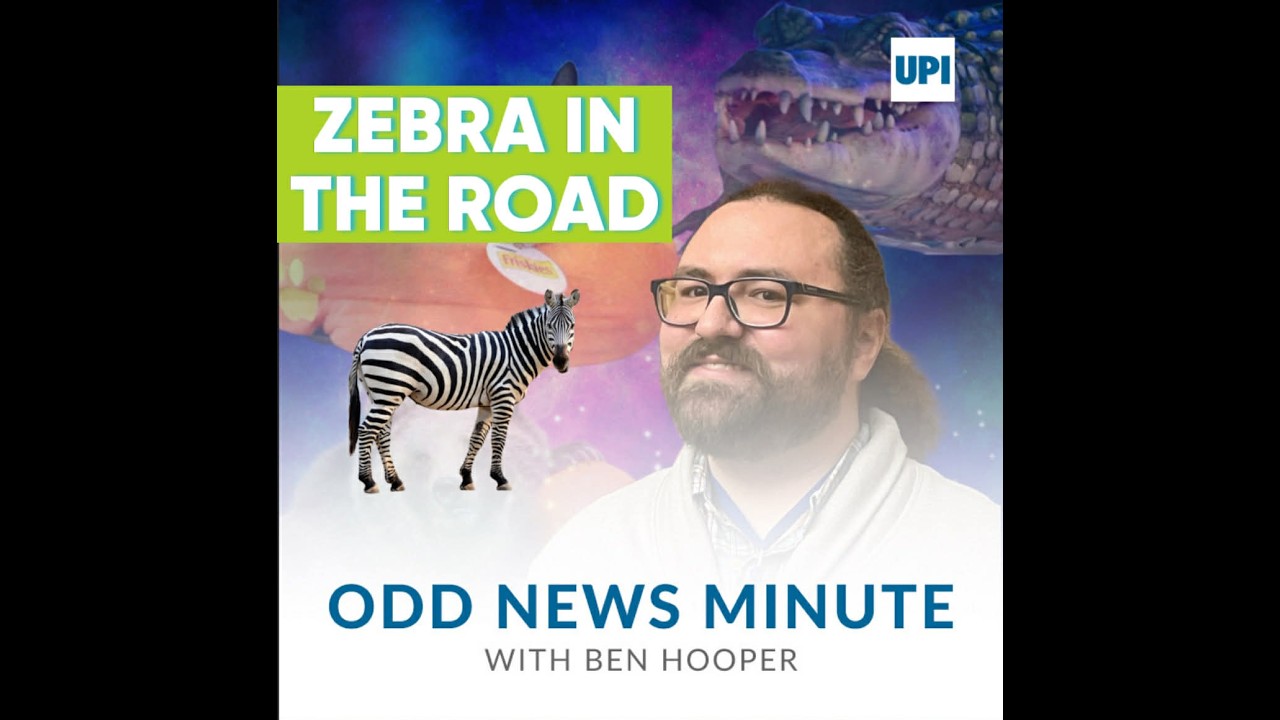 Nevada zebra, world's oldest cockatiel