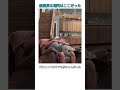 結局戻る場所はここだった