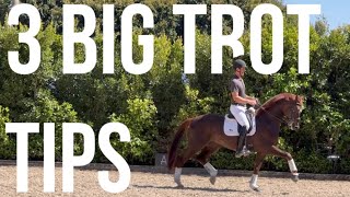 3 TIPS FOR A BIGGER TROT!