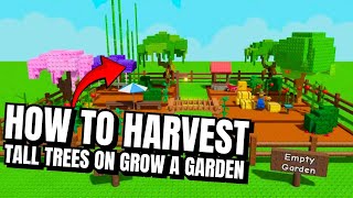How to Harvest Tall Trees & Collect Fruit in Grow a Garden (2025 FULL GUIDE) screenshot 4