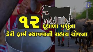 Dudhana Pashu Yojana | Animal Husbandry | Dairy Farm | Agriculture Gujarat screenshot 2