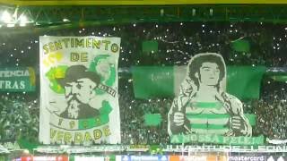 Coreografia Arrepiante, Brutal ,50046 em delirio a cantar ,Sporting C P vs Real Madrid , 22-11-2016