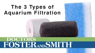 3 Types of Aquarium Filtration | DrsFosterSmith.com by Drs. Foster and Smith Pet Supplies 2,946 views 8 years ago 1 minute, 16 seconds