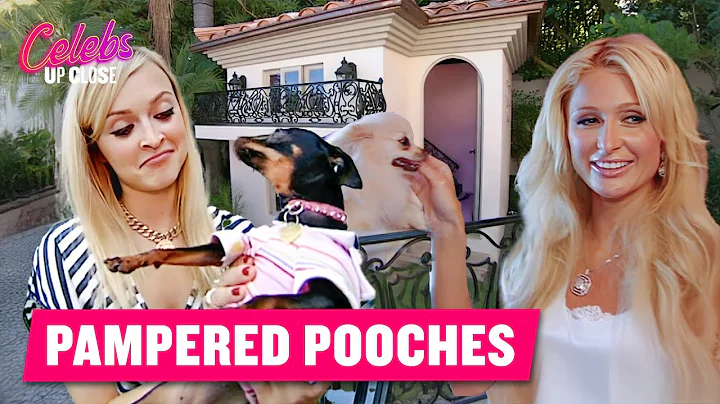 Paris Hilton's Pups Live In A Luxury Doggie Mansion | Celebs Up Close
