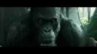 Legend Of Tarzan - 'Akut' Video