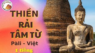 1 tiếng |Bài Thiền Rải Tâm Từ Pali Việt - Giọng đọc Việt An Tuệ Nghiêm Trần Trang #thientamtu #metta