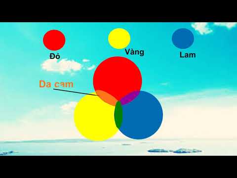 Tuần 1,2,3,4,5,6 - mĩ thuật - đại dương mênh mông