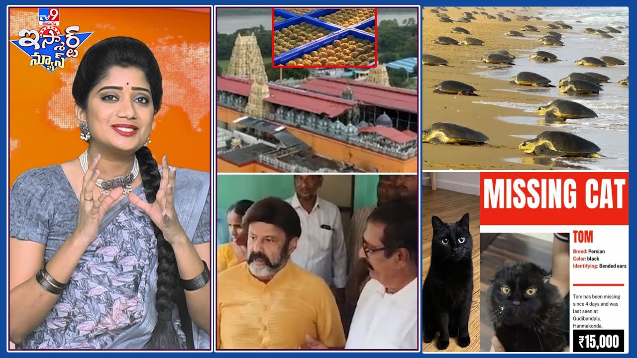 iSmart News :  నిప్పుతో ఆట.. నందమూరి నటసింహంతో మాట జాగ్రత్త  |మందుబాబులకు  వింత పనిష్మెంట్ -TV9