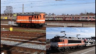 RFO 1831 + Hippel 9702 te Amersfoort met de PON autotrein