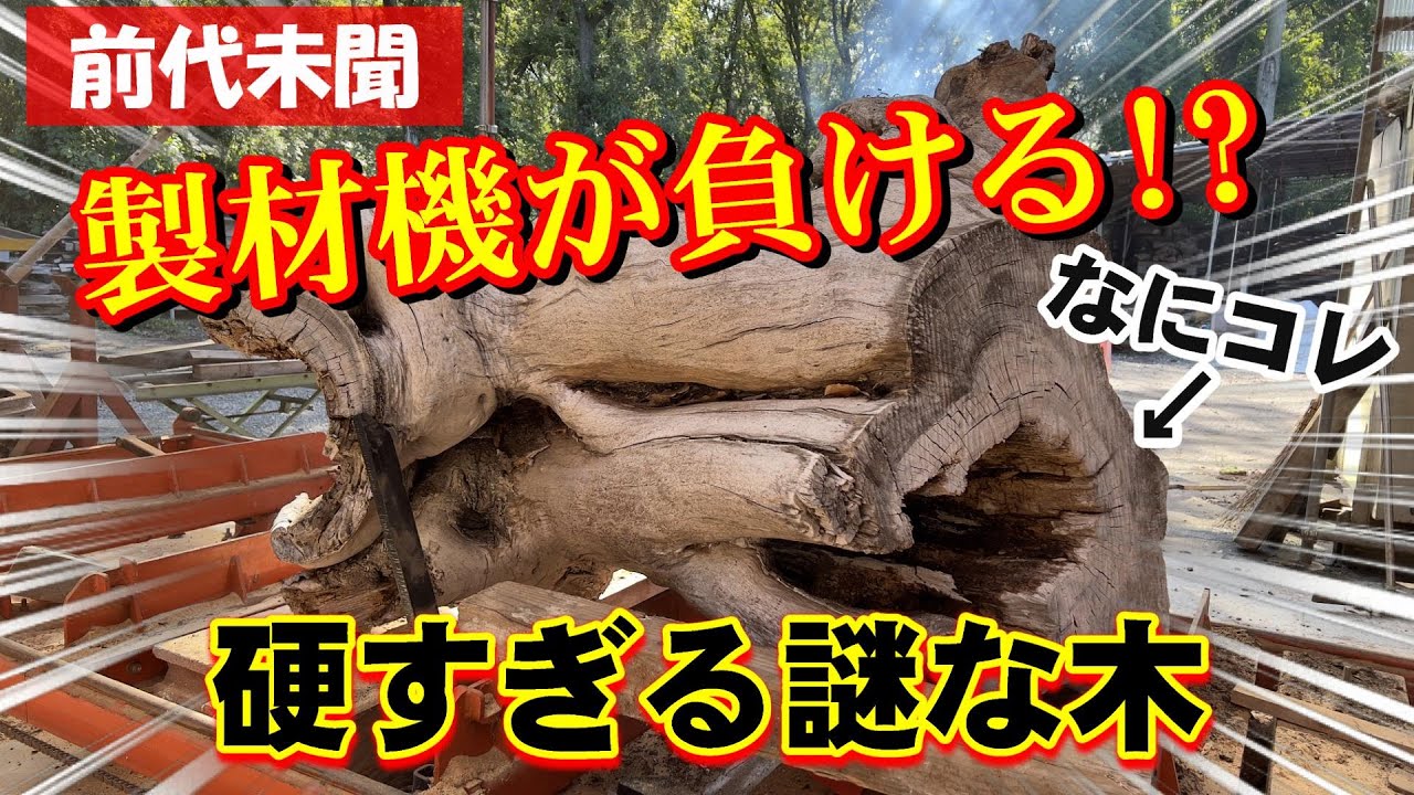 謎の木】機械が負ける程硬い木！？【製材】 - YouTube