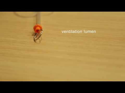 Tritube Introduction 