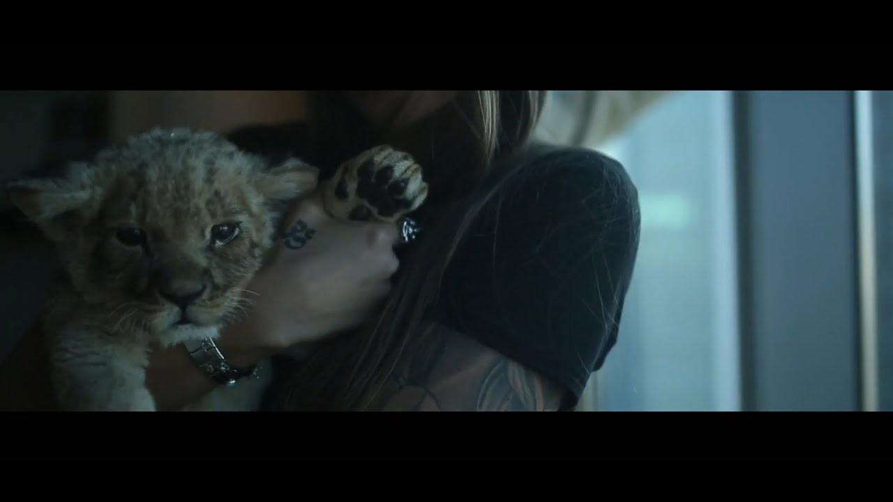 Селеба из Гетто - Trailer for channel - YouTube