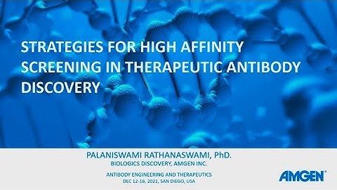 Strategies For High Affinity Screening In Therapeutic Antibody Discovery