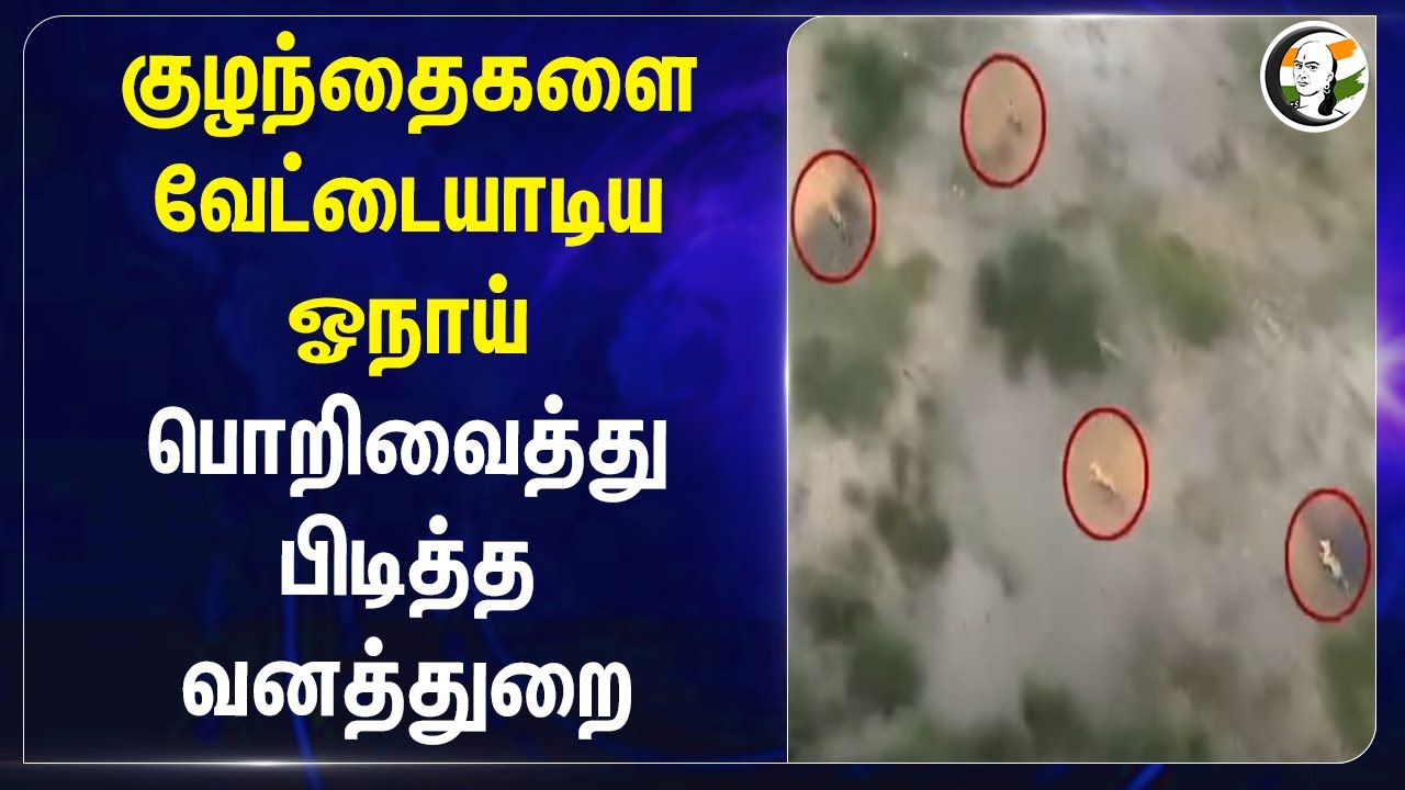 குழந்தைகளை வேட்டையாடிய ஓநாய்.. பொறிவைத்து பிடித்த வனத்துறை | Forest department | Uttar pradesh |Wolf