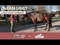 Charm spirit route des talons dynavena 2024 au logis saintgermain avec jrme glandais