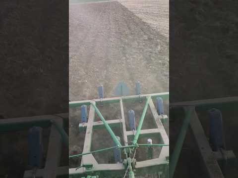 Chisel Plowing #shorts