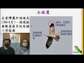 1100928線上賞鳥趣！(EP.  12)赤腹鷹與灰面鵟鷹