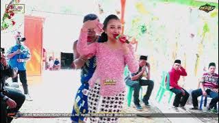 INA Di Hajar PARDI KUCING