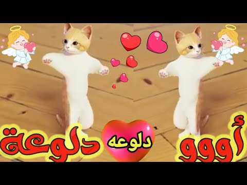 اغنية باسم دلع دلوعة عيد ميلادها اول تعليق السعودية الكويت ابوظبي العراق تركيا الجزائر جده دبي