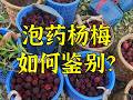 起底泡药杨梅：消费者保护自己的必备知识
