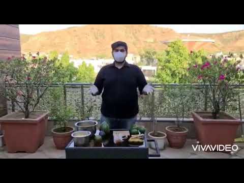 What’s up with your Avocaodo? - video from Farmse
