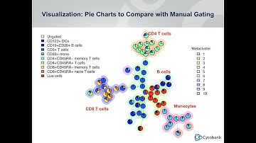 Webinar: FlowSOM in Cytobank with Sofie Van Gassen