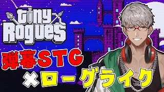 【Tiny Rogues】弾幕シューティングとローグライクが合わさったゲーム!?【アルランディス/ホロスターズ】