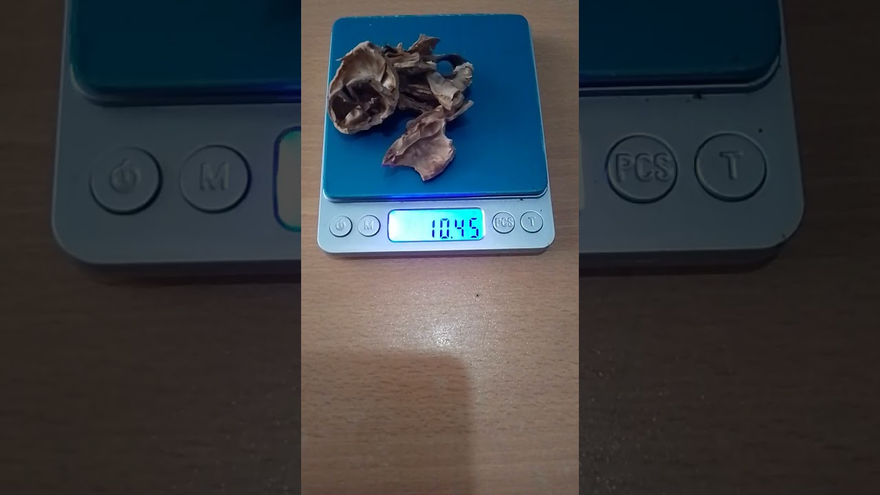 Yaş cevizlerin randımanlarına baktık...