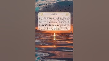 سورة التين