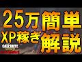 超簡単！25万XPを一番速く稼ぐ方法！ WW2ゾンビ