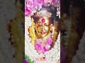 Aai Ekvira mauli 🙏🌺🙇#aagrikoli #aaiekviramauli