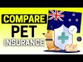 The best pet insurance providers in new zealand 