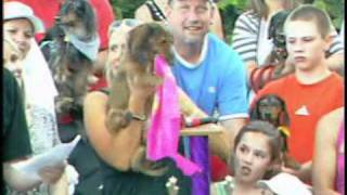 2011 Wiener Dog races