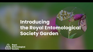 The Big Give campaign - RES Garden at RHS Chelsea Flower Show 2023 by Royal Entomological Society 336 views 1 year ago 1 minute, 1 second