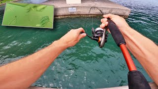 Flounder, Sheepshead, Snapper and MORE off a Florida Pier