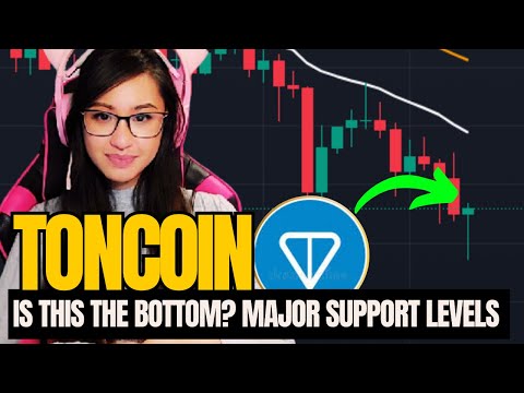 Toncoin Price Prediction - $TON: Is This the Bottom? Major Support Levels Revealed!