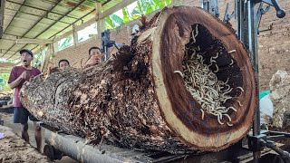 INCREDIBLE WOODWORKING!! Giant Trembesi Log with Extraordinary Grain Cut Perfectly at the Sawmill