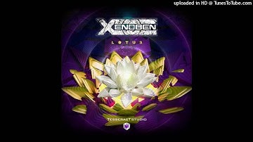 Xenoben - Lotus (Original Mix)